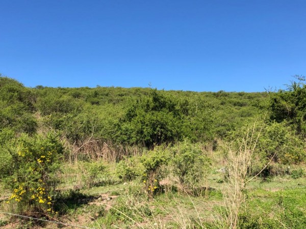 CAMPO EN SIERRAS CHICAS - 6 HECTAREAS A 20 minutos del AEROPUERTO !!!! BAJAMOS LOS PRECIOS !!!! DOS FRACCIONES EN EL PUEBLITO - SALSIPUEDES - 
