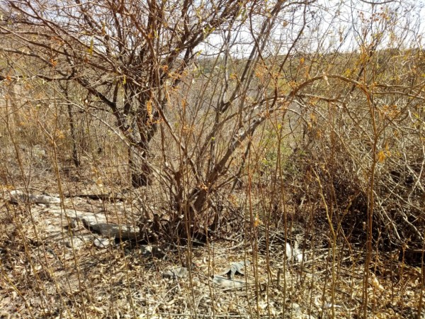 MENDIOLAZA. VALLE DEL SOL. LOTE DE TERRENO 